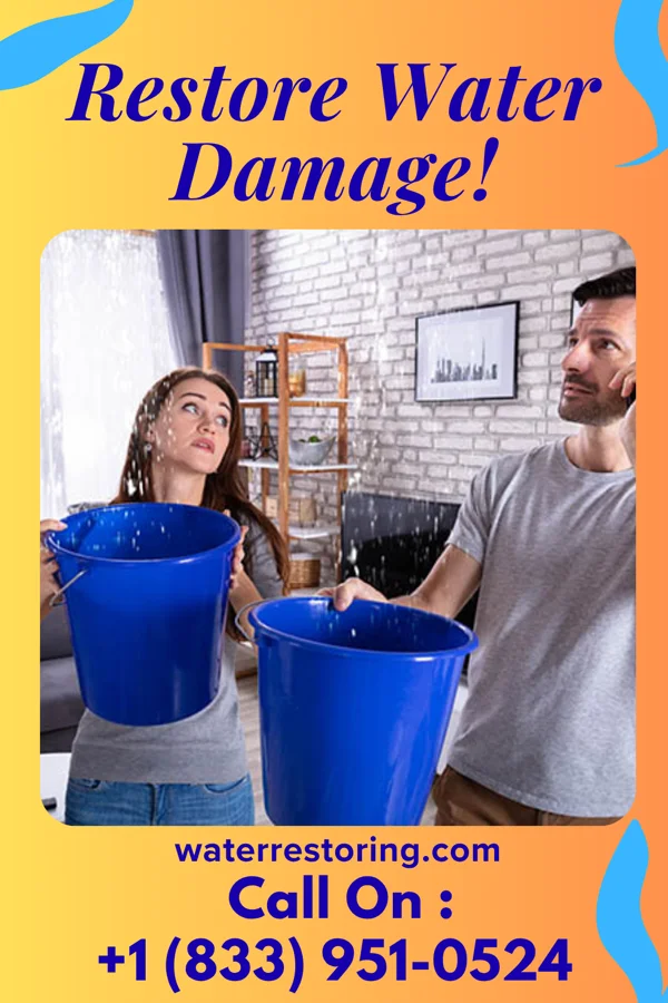 water restoration Premier Water Damage Masters Hedrick