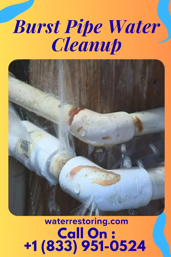 Burst Pipe Water Cleanup in Hedrick, IA