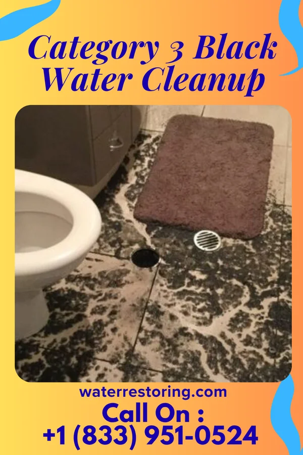 Category 3 Black Water Cleanup in Hedrick, IA
