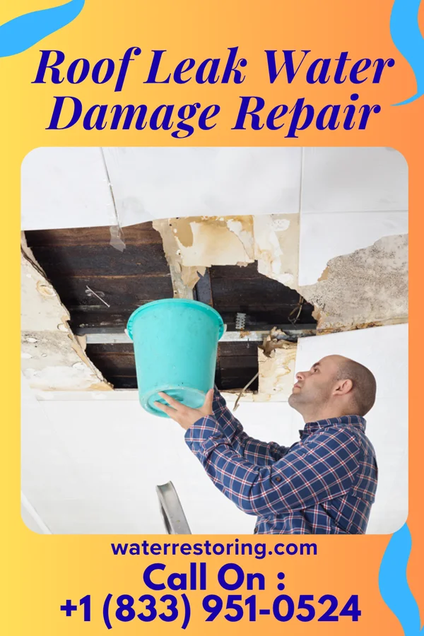Roof Leak Water Damage Repair in Hedrick, IA