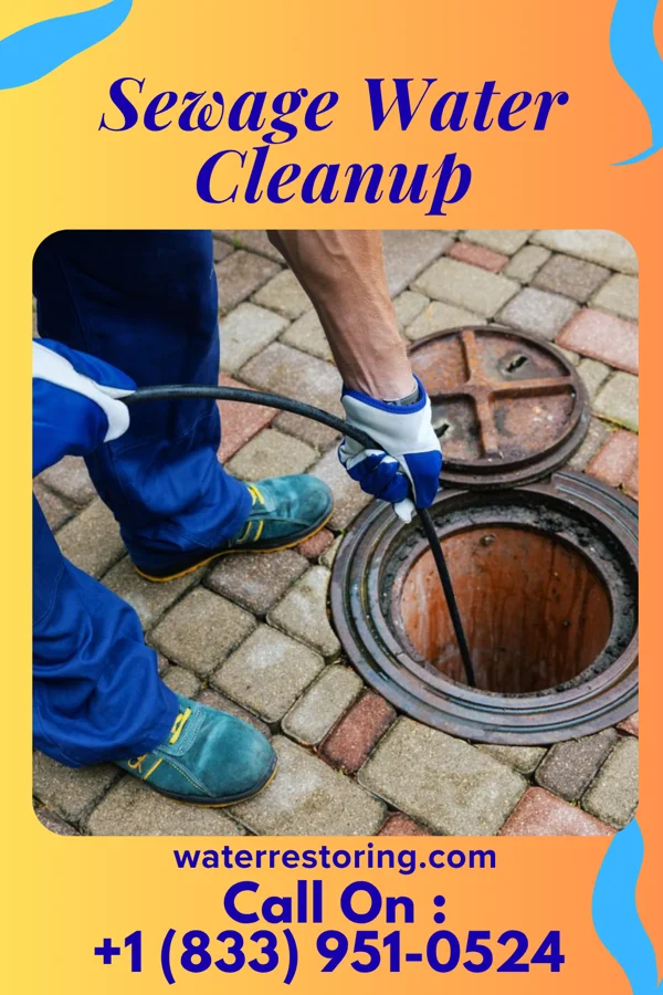 Sewage Water Cleanup in Hedrick, IA